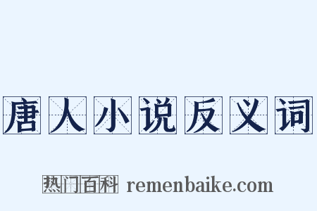 唐人小说反义词是什么意思的图片